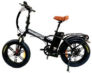 [Hot Item] 350W/500W Electric Bike 20 Inches Folding Fat Tire E Bike Electric Bicycle