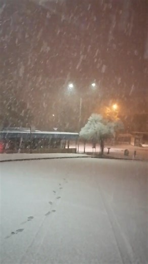 Heavy Snowfall #snow #snowfall #weather #relaxing #storm #reels #winter #relax #shorts