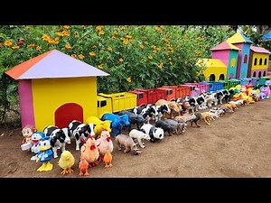 Truk Oleng Angkut Sapi Lucu, Bebek Angsa, Ayam, Gajah, Kucing, Kelinci, Kuda, Kambing, Domba, Bebek