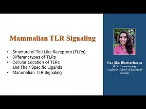 Mammalian TLR Signalling for #CSIRNET