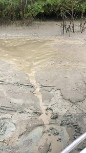 They’re never far 🫠 | Em Lethlean