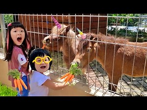 Kasih Makan Kuda Poni Mini Lucu Banget Keledai dan Rusa - Mengenal Binatang untuk Anak