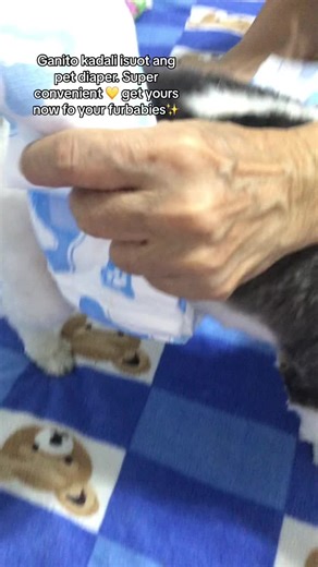 Easy Guide: Putting on Pet Diapers for Male Dogs