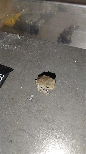 Day 7 of Learning to do Coding from 0 knowledge #coding #series