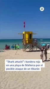 557K views · 2.9K reactions | 麗 "Shark attack!": bandera roja en una...