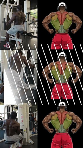 Why Your Back Isn't Growing Fix THIS Now #shorts #fitness #back