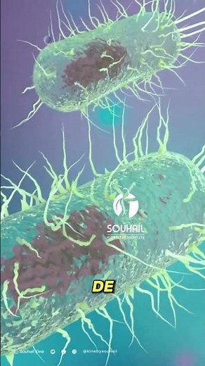 The Different Types of Cells Explained Easily