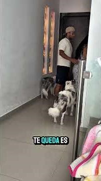 Eres mi lugar favorito incluso en los dias dificiles #viral #pareja #embarazo