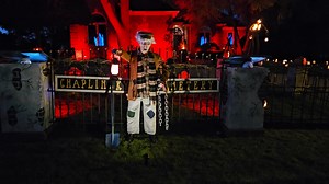 Super Bright LEDs on Reels