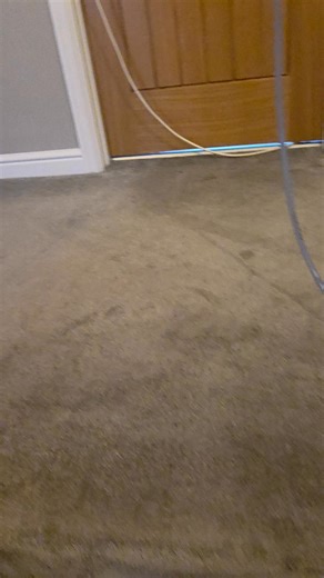 3.4K views · 23 reactions | *****Top Tip Tuesday ***** Featuring that maniac Paul trying to take my head off with a kitchen roll 藍藍 Enjoy!! 欄藍 | Fair Deal Carpet Cleaning | Facebook