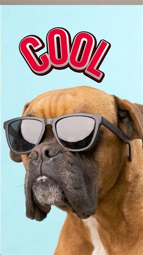 Are You Cool? Surprising #Science Behind The #Psychology of #Cool
