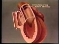 Development of Heart : Embryology Video