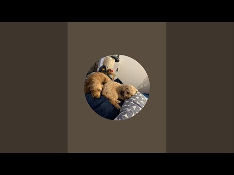 Installing PowerToys on Windows 10 22H2 on a Compaq Presario CQ61 on live