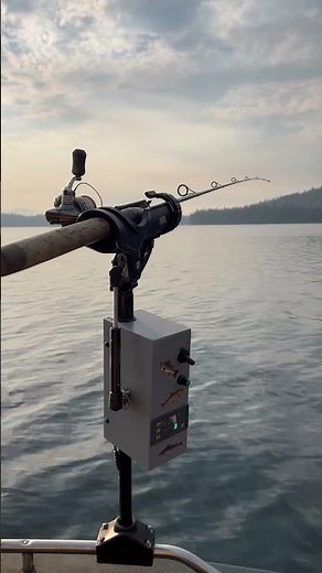 Jiggleon.com Automatic jigging rod holder