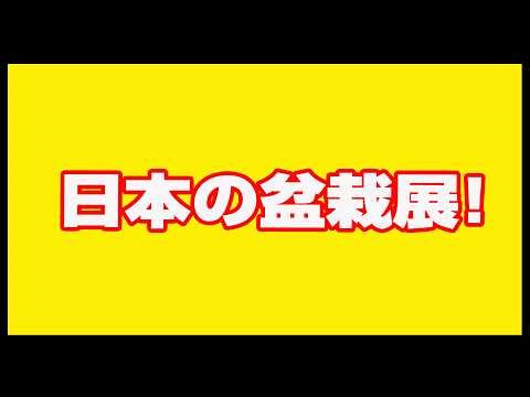 【緊急】宮内庁が下した非情決断！紀子さま土下座も虚しく…盆栽展示会から永久追放の真相！