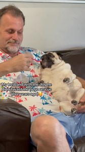 Dads and the pug they never wanted.. 🤣🐾 .luvpug on TT | SpeakPug