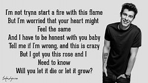 28K views · 548 reactions | Roses - Shawn Mendes (Lyrics)  Source: DopeLyrics #qhlyrics #hotmusic | QH Lyrics | Facebook