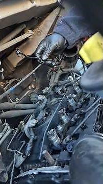 Transit mk7 fuel lines and electrics back to the injectors. #transit #automobile #mechanic #justdoit