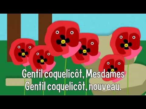 Comptine : Gentil coquelicot