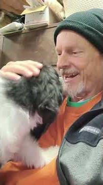 A boy and a girl Portuguese Water Dog on their way to their new furever homes in Jersey!