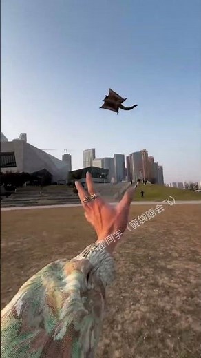 Flying with My Sugar Glider – Watch This Cutie Master the Skies! #pets #cute #animals
