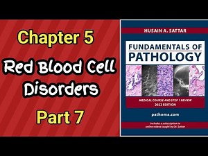 Pathoma Lectures || Chapter 5 Red Blood Cell Disorders Lecture Part 7 || Pathology