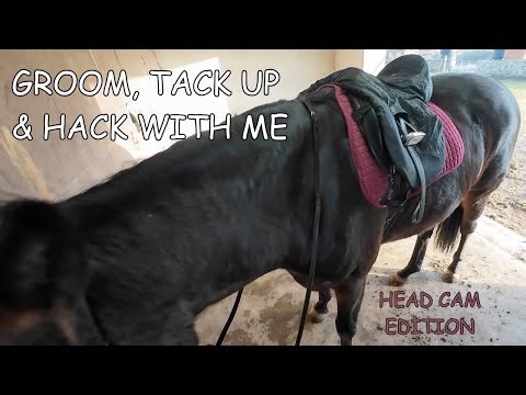 Ride With Me: Grooming, Tacking Up & Hacking POV ASMR | Northern Ireland Equestrian