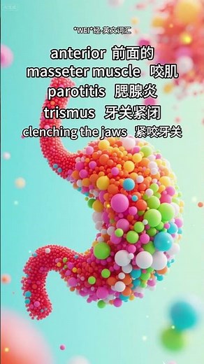 #acupuncture #vacabulary #learnchinese