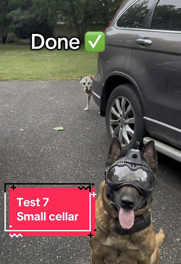 K9VS Dog Camera System for Effective Training
