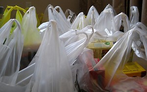 Plastic Bags Are a Problem. Are Plastic Bag Bans a Solution?