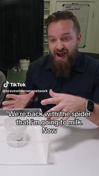 Think you’ve got calm nerves and a steady hand? Just wait until you’re face to fang with one of the world’s deadliest spiders! Watch our newest episode (🔗 in bio) to see if @thetrentunderwood can successfully milk venom from the Sydney funnel-web spider… 🕷️#coyotepeterson #bravewilderness #spider #venom