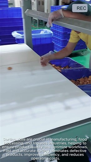 Sorting Skills in Production | Fast & Accurate #video #viral #creative #technology #machine