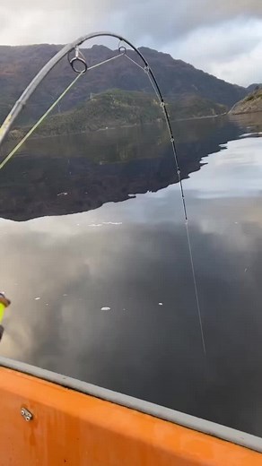 Unbelievable Fishing Experience in Norway 🎣🇳🇴