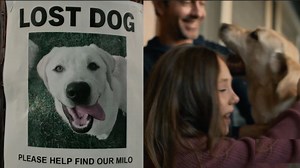Ring Super Bowl Commercial 2026 Dog Search Party Big Game Ad Review | Andy Roark | 23 comments