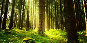 Life Cycle Assessment