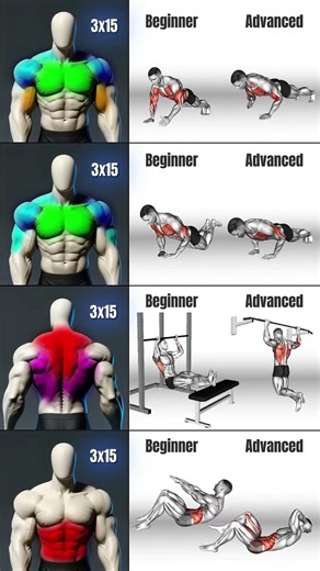 Upper Body Strength #Progression for All Levels