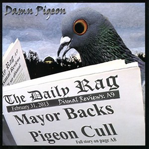 Damn Pigeon - Dismal Reviews