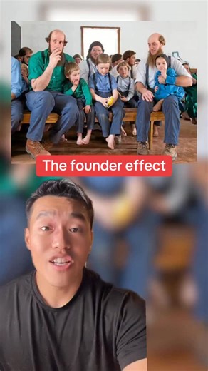 Jimmy Maio on Instagram: "Founder effect #Amish #lancaster"