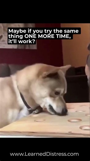 Maybe if you try the same thing one more time, it'll work?