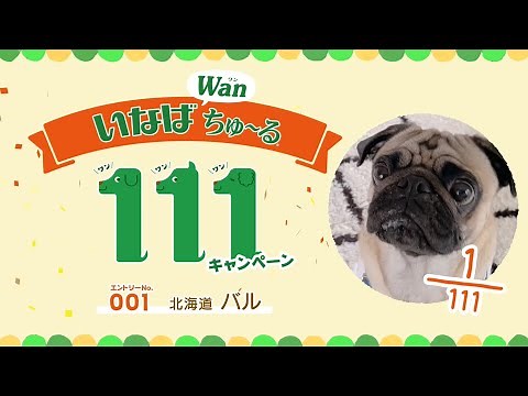 【※約27分あります】Wanちゅ〜るTVCM 111本イッキ見篇（いなば食品グループ）