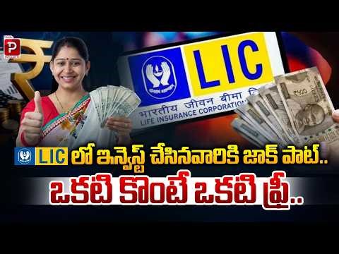 LICలో ఇన్వెస్ట్ చేసినవారికి జాక్ పాట్ | LIC Investment News Extra Benefits for Policyholders