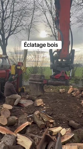 Éclatage Bois et Outils Doosan : Rototilt en Action