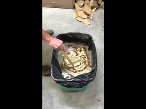 Hydro dip deer skull