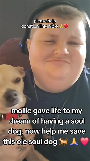 Mollie is my 8-year-old Chihuahua/Lab mix and my absolute best friend. She’s recently been diagnosed with cancer, with tumors located near/behind her heart. Our vet says she’ll need multiple complex surgeries and ongoing care to have a real chance. I’m currently in a tough financial spot and can’t afford these vet expenses on my own. Asking for help isn’t easy, but I’ll do anything to give Mollie a shot at more good years—more couch cuddles, car rides, and tail wags. What your donation helps cov