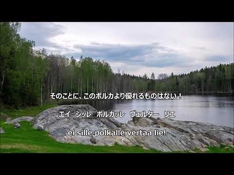 【和訳付き】サッキヤルヴェン・ポルカ（フィンランド民謡）"Säkkijärven Polkka" 【カナルビ付き】