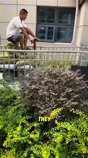 The Easy Way to Move Heavy Loads #SmartLoading #HeavyLoadMadeEasy #ElectricLoader #WorkSmarter | Production Pulse