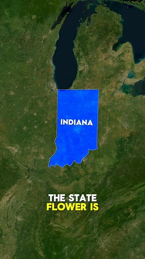 2.1K views · 14 reactions | Fun Facts About Indiana | Brandon Navab | Facebook