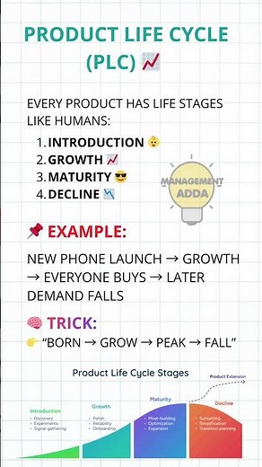 Product Life Cycle Explained