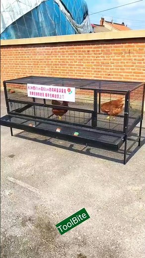 Game-Changing Hen Cage for Egg Farmers | Strong, Spacious, Affordable