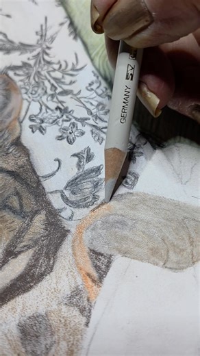 The second layer, blending with a light grey pencil. A colored pencil...